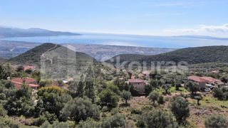 Μονοκατοικία 175 τ.μ. για πώληση, Μεσσηνία, Καλαμάτα-thumb-27