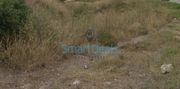 Land plot 185,86sqm for sale-Gerakas