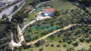 Parcel 2.365sqm for sale-Patra