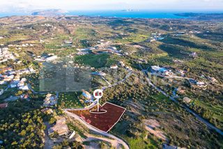 Αγροτεμάχια 6.000 τ.μ. για πώληση, Αργολίδα, Κρανίδι-thumb-1