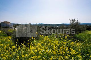 Αγροτεμάχια 6.000 τ.μ. για πώληση, Αργολίδα, Κρανίδι-thumb-15