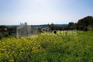 Αγροτεμάχια 6.000 τ.μ. για πώληση, Αργολίδα, Κρανίδι-thumb-14