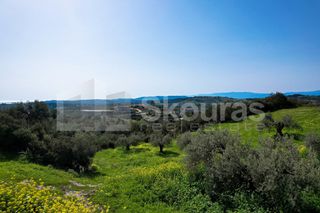 Αγροτεμάχια 6.000 τ.μ. για πώληση, Αργολίδα, Κρανίδι-thumb-18