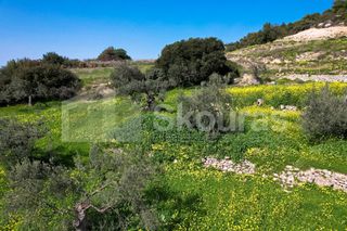 Αγροτεμάχια 6.000 τ.μ. για πώληση, Αργολίδα, Κρανίδι-thumb-13