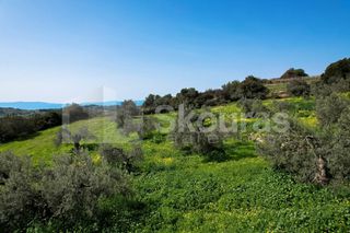Αγροτεμάχια 6.000 τ.μ. για πώληση, Αργολίδα, Κρανίδι-thumb-17