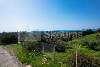Αγροτεμάχια 6.000 τ.μ. για πώληση, Αργολίδα, Κρανίδι-thumb-21