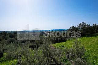 Αγροτεμάχια 6.000 τ.μ. για πώληση, Αργολίδα, Κρανίδι-thumb-9