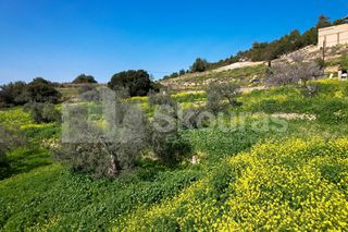 Αγροτεμάχια 6.000 τ.μ. για πώληση, Αργολίδα, Κρανίδι-thumb-20