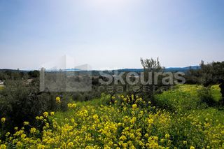 Αγροτεμάχια 6.000 τ.μ. για πώληση, Αργολίδα, Κρανίδι-thumb-16