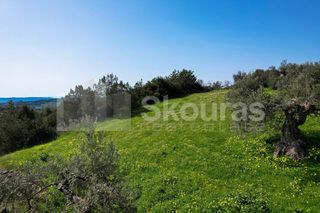 Αγροτεμάχια 6.000 τ.μ. για πώληση, Αργολίδα, Κρανίδι-thumb-8