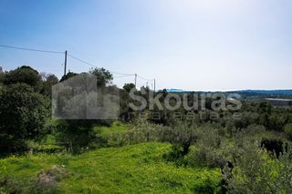 Αγροτεμάχια 6.000 τ.μ. για πώληση, Αργολίδα, Κρανίδι-thumb-10