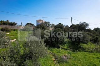 Αγροτεμάχια 6.000 τ.μ. για πώληση, Αργολίδα, Κρανίδι-thumb-11