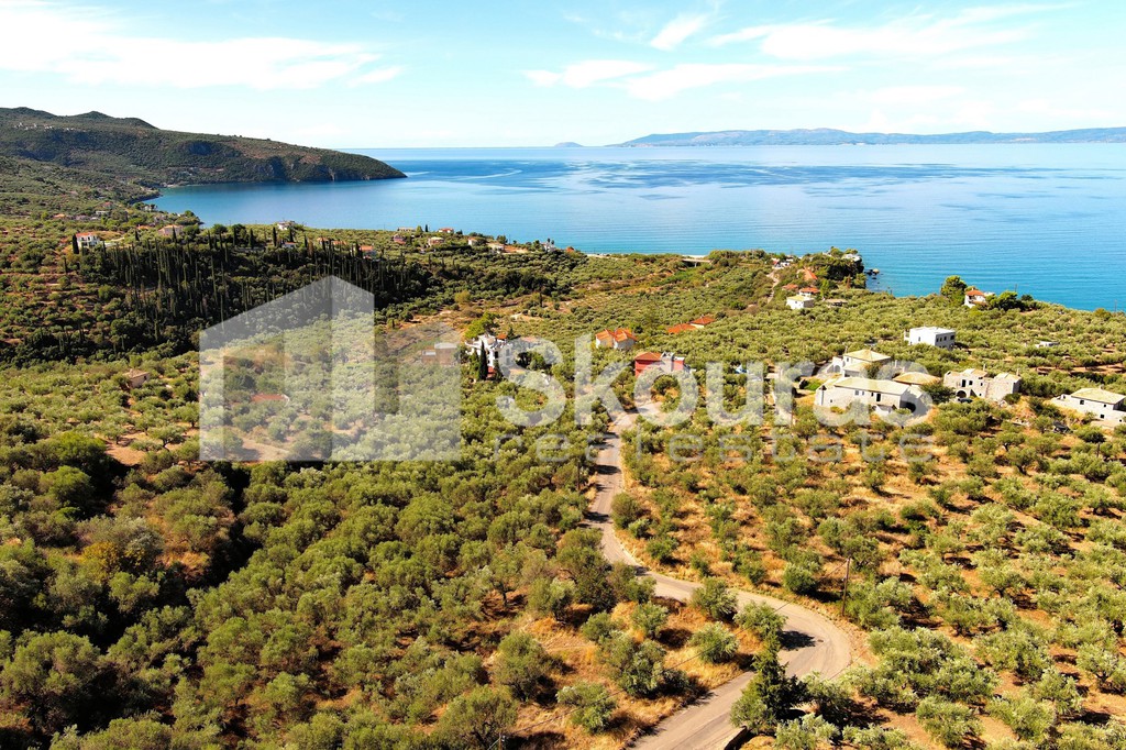 Οικόπεδο 1.050 τ.μ. προς πώληση, Ακρογιάλι Αβίας