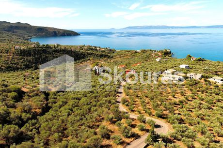 Οικόπεδο 1.050 τ.μ. για πώληση
