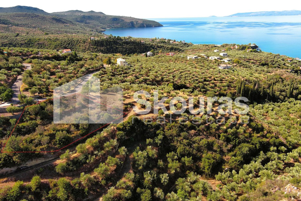 Οικόπεδο 1.050 τ.μ. προς πώληση, Ακρογιάλι Αβίας