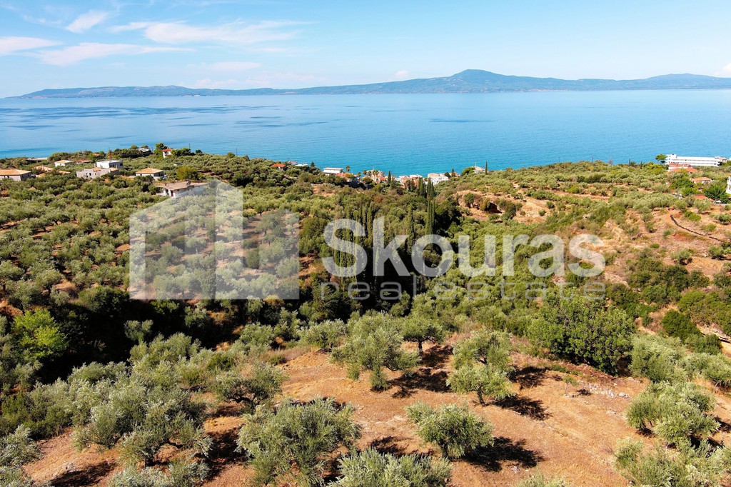 Οικόπεδο 1.050 τ.μ. προς πώληση, Ακρογιάλι Αβίας