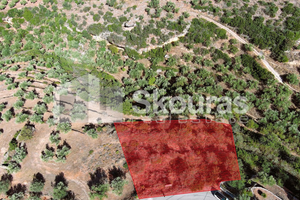 Οικόπεδο 1.050 τ.μ. προς πώληση, Ακρογιάλι Αβίας