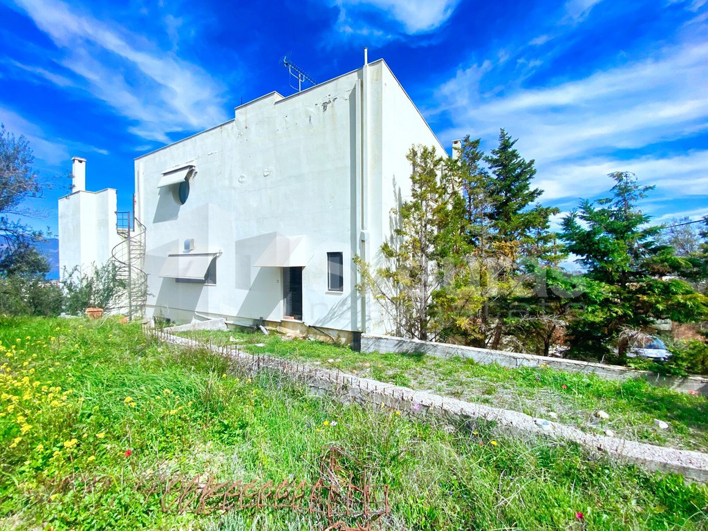 Μονοκατοικία 560 τ.μ. προς πώληση, Σελιανίτικα