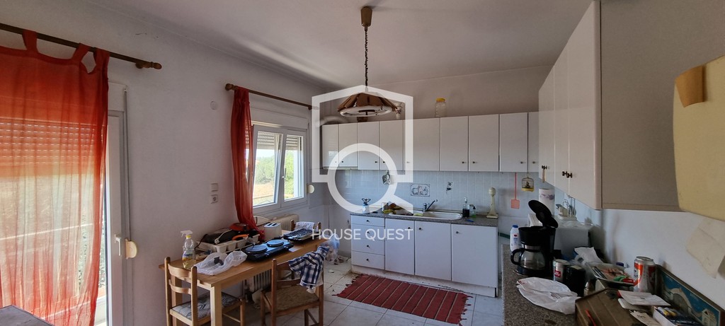 Βίλλα 460 τ.μ. προς πώληση, Φίλυρο