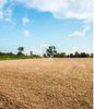 Land plot 3.000sqm for sale-Michaniona