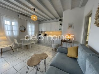 Διαμέρισμα 58 τ.μ. πρός ενοικίαση, Κυκλάδες, Μύκονος-thumb-12