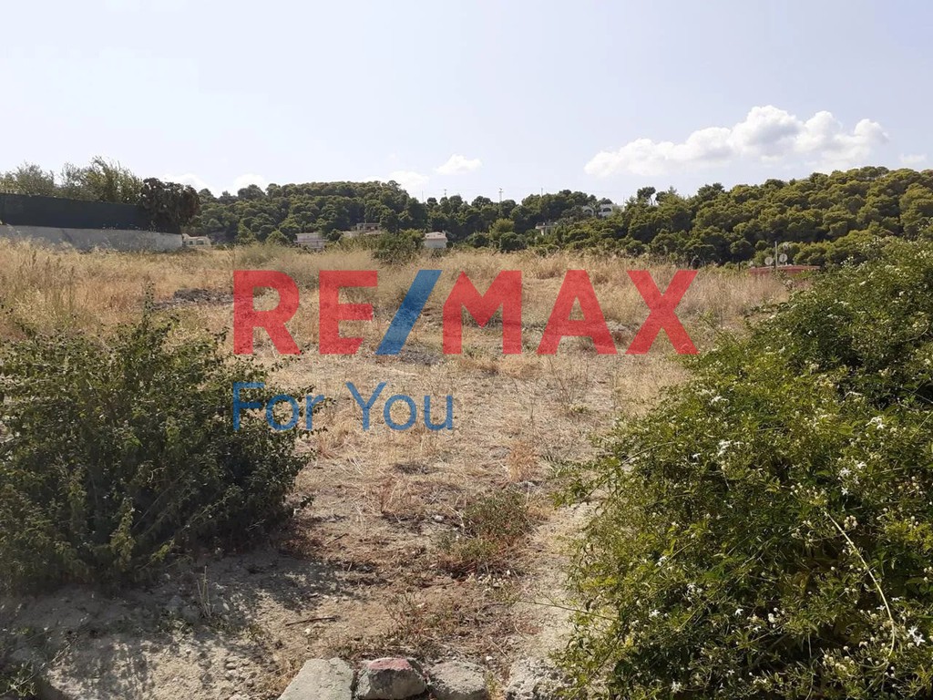 Οικόπεδο 503 τ.μ. προς πώληση, Βίλια Αττικής