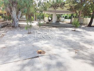 Κατάστημα 100 τ.μ. για ενοικίαση, Αχαΐα, Πάτρα-thumb-21