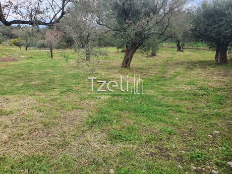 Οικόπεδο 142 τ.μ. για πώληση