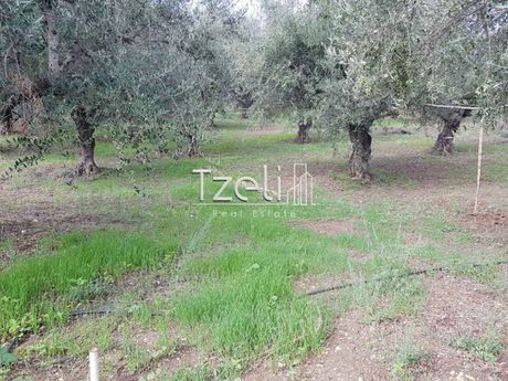 Parcel 8.750sqm for sale-Larissos » Riolos