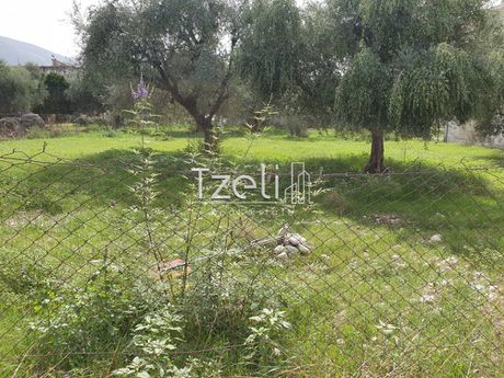 Parcel 2.615sqm for sale-Larissos » Riolos