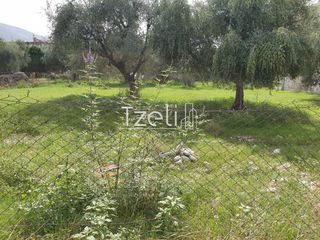 Αγροτεμάχια 2.615 τ.μ. για πώληση