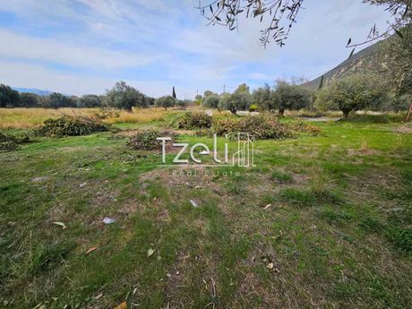Land plot 6.500sqm for sale-Efpalio » Marathias