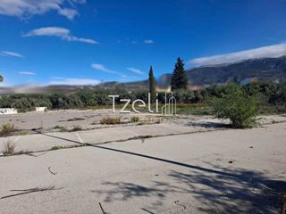 Οικόπεδο 8.115 τ.μ. για ενοικίαση, Αχαΐα, Πάτρα-thumb-2