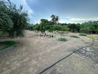 Οικόπεδο 1.500 τ.μ. για ενοικίαση, Αχαΐα, Πάτρα-thumb-3