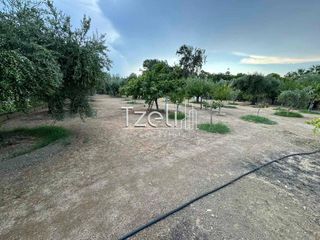 Οικόπεδο 1.500 τ.μ. για ενοικίαση, Αχαΐα, Πάτρα-thumb-10