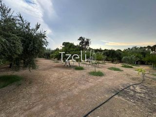 Οικόπεδο 1.500 τ.μ. για ενοικίαση, Αχαΐα, Πάτρα-thumb-13