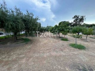 Οικόπεδο 1.500 τ.μ. για ενοικίαση, Αχαΐα, Πάτρα-thumb-17