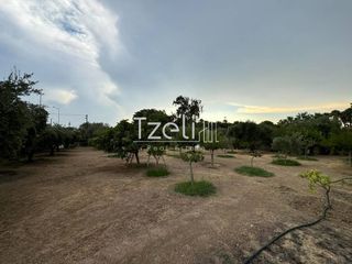 Οικόπεδο 1.500 τ.μ. για ενοικίαση, Αχαΐα, Πάτρα-thumb-7