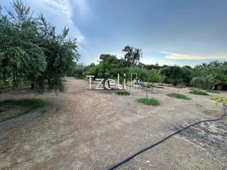 Οικόπεδο 1.500 τ.μ. για ενοικίαση, Αχαΐα, Πάτρα-thumb-19