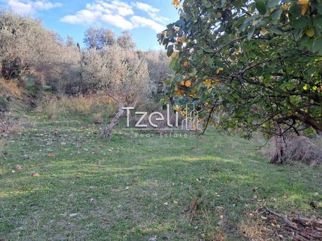 Parcel 3.642sqm for sale-Fares » Mirali