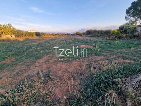Land plot 5.000sqm for sale-Fares » Isoma