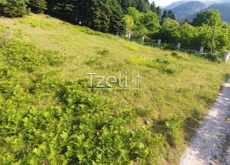 Land plot 1.111sqm for sale-Leontio » Golemi