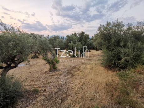 Parcel 5.249sqm for sale-Dytikis Achaias » Ano Achaia