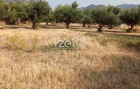 Land plot 407sqm for sale-Kalavrita » Kato Lousoi