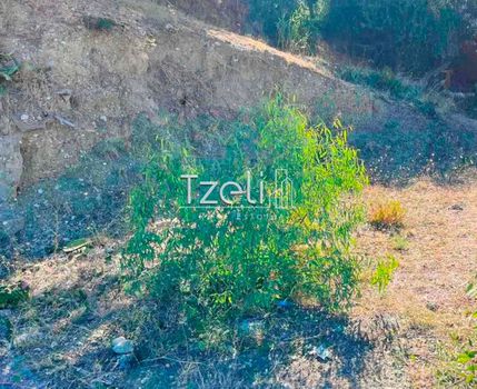 Land plot 700sqm for sale-Patra » Patra Centre