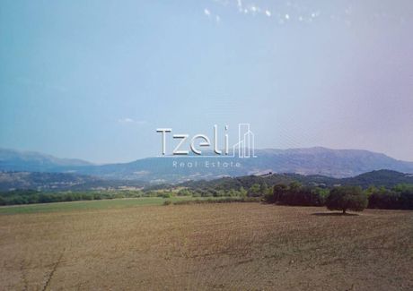 Parcel 30.000sqm for sale-Tritaia » Kardasi
