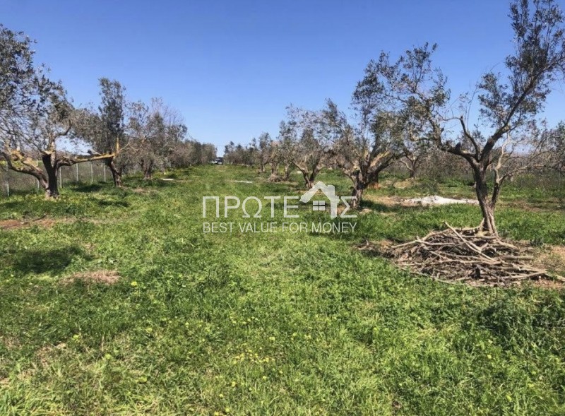 Οικόπεδο 4.540 τ.μ. πρός πώληση, Αττική - Υπόλοιπο, Μαρκόπουλο