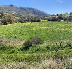 Οικόπεδο 6.500 τ.μ. για πώληση