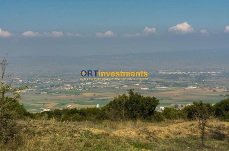 Αγροτεμάχια 6.500τ.μ. για πώληση-Χορτιάτης » Φίλυρο