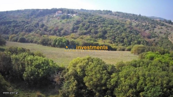 Αγροτεμάχια 6.500 τ.μ. πρός πώληση, Θεσσαλονίκη - Περιφ/Κοί Δήμοι, Χορτιάτης